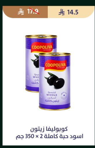 available at متاجر قوت in مملكة العربية السعودية, السعودية, سعودية - الطائف