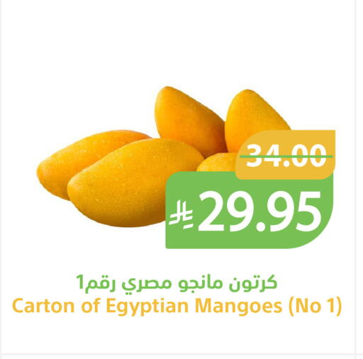 available at Qateba Markets in KSA, Saudi Arabia, Saudi - Buraidah