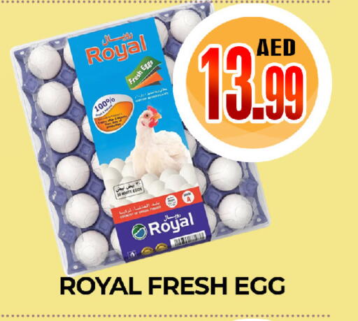 available at  RIVIERA SUPERMARKET L.L.C in UAE - Abu Dhabi