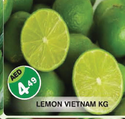 Lemon from Vietnam available at سنابل بني ياس in الإمارات العربية المتحدة , الامارات - أبو ظبي