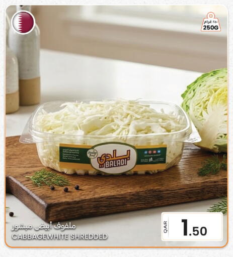 available at البلدي اليوم in قطر - الريان