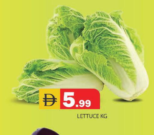 Lettuce available at سنابل بني ياس in الإمارات العربية المتحدة , الامارات - أبو ظبي