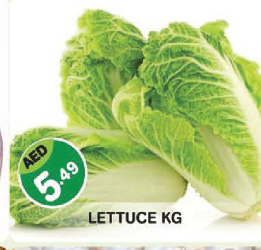 Lettuce available at سنابل بني ياس in الإمارات العربية المتحدة , الامارات - أبو ظبي