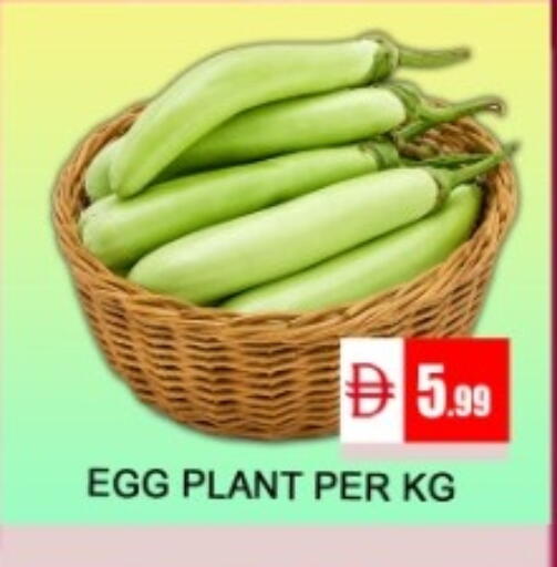 available at GREEN GIFT DEPARTMENT STORE in UAE - Abu Dhabi