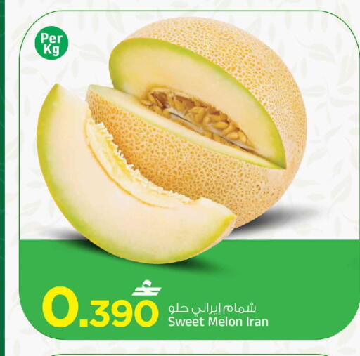 Melon from Iran available at مارك & سايف in عُمان - مسقط‎