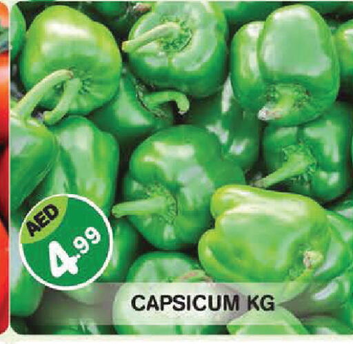 Capsicum available at سنابل بني ياس in الإمارات العربية المتحدة , الامارات - أبو ظبي