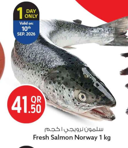 available at سفاري هايبر ماركت in قطر - الشمال