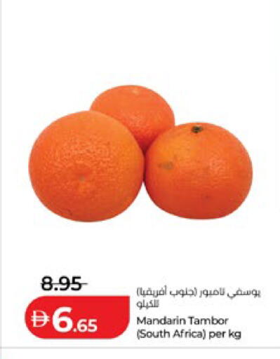 Mandarin from South Africa available at لولو هايبرماركت in الإمارات العربية المتحدة , الامارات - أبو ظبي
