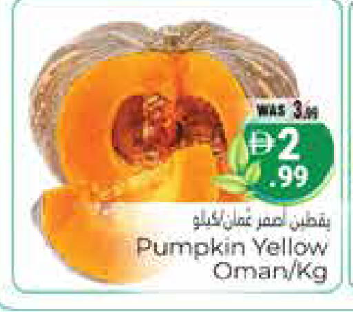 Pumpkin from Oman available at هايبر ماركت باسونز in الإمارات العربية المتحدة , الامارات - ٱلْعَيْن‎