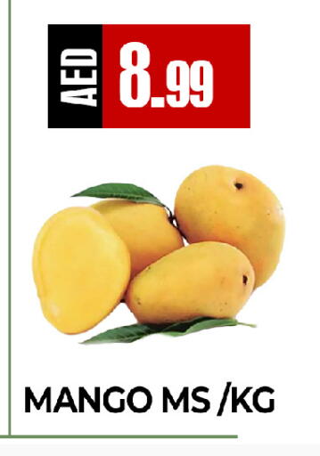 Mango available at ريفييرا سوبرماركت in الإمارات العربية المتحدة , الامارات - أبو ظبي