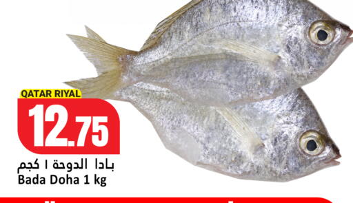 available at Dana Hypermarket in Qatar - Al Rayyan
