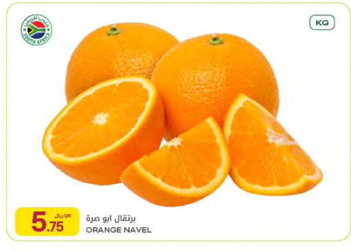 Orange from South Africa available at شركة الميرة للمواد الاستهلاكية in قطر - الخور