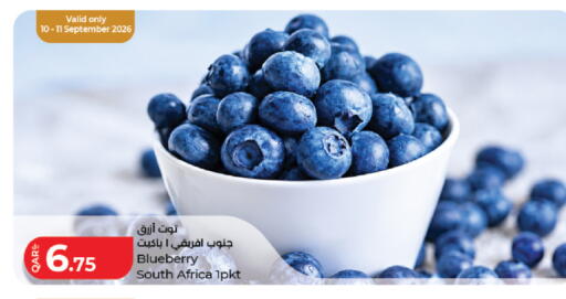Blueberry BlueBerry from South Africa available at لولو هايبرماركت in قطر - الدوحة
