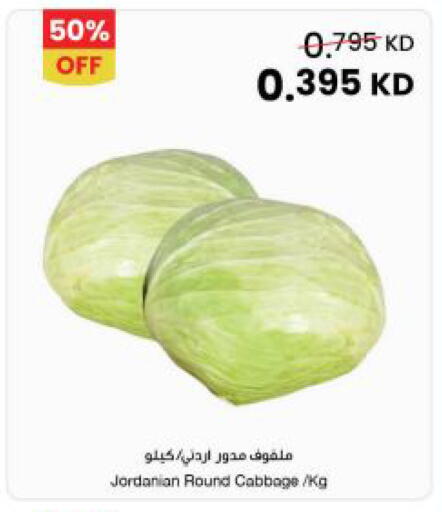Cabbage from Jordan available at The Sultan Center in Kuwait - Jahra Governorate