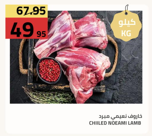available at Astra Markets in KSA, Saudi Arabia, Saudi - Tabuk