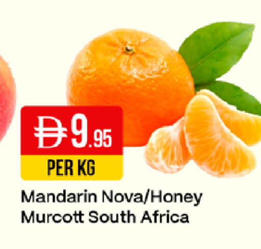 Mandarin from South Africa available at ويست زون سوبرماركت in الإمارات العربية المتحدة , الامارات - دبي