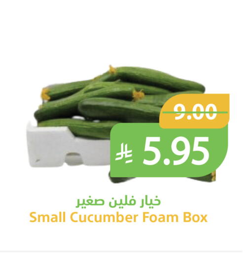 Cucumber available at Qateba Markets in KSA, Saudi Arabia, Saudi - Buraidah