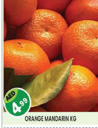 Orange Mandarin available at سنابل بني ياس in الإمارات العربية المتحدة , الامارات - أبو ظبي