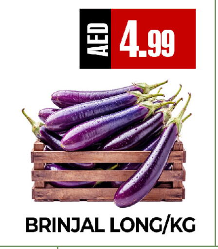 available at  RIVIERA SUPERMARKET L.L.C in UAE - Abu Dhabi
