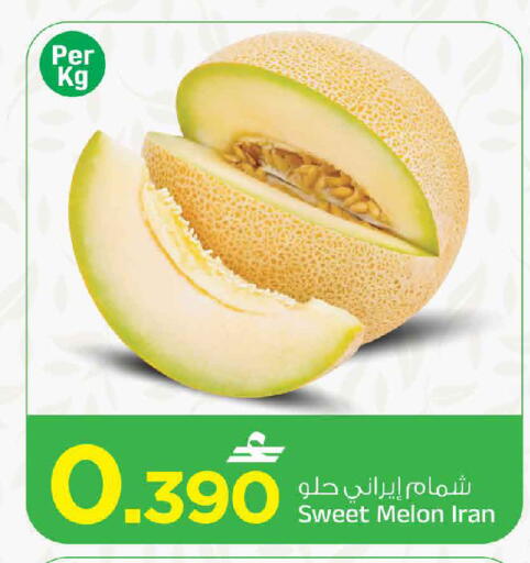 Melon from Iran available at مارك & سايف in عُمان - مسقط‎