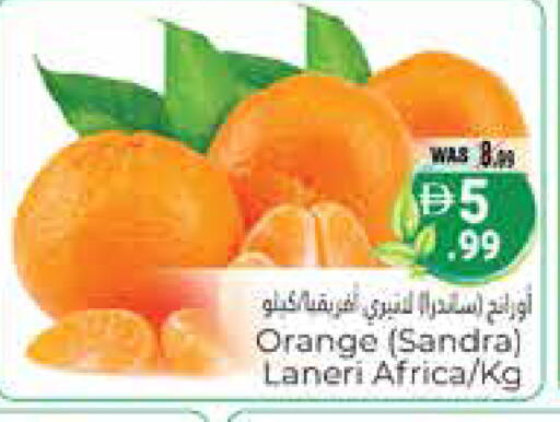 Orange available at هايبر ماركت باسونز in الإمارات العربية المتحدة , الامارات - ٱلْعَيْن‎