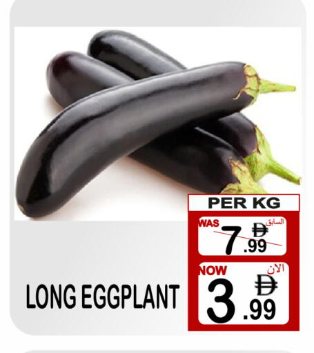 Eggplant available at مركز الجمعة in الإمارات العربية المتحدة , الامارات - الشارقة / عجمان