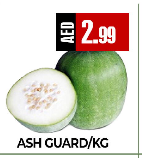 available at  RIVIERA SUPERMARKET L.L.C in UAE - Abu Dhabi