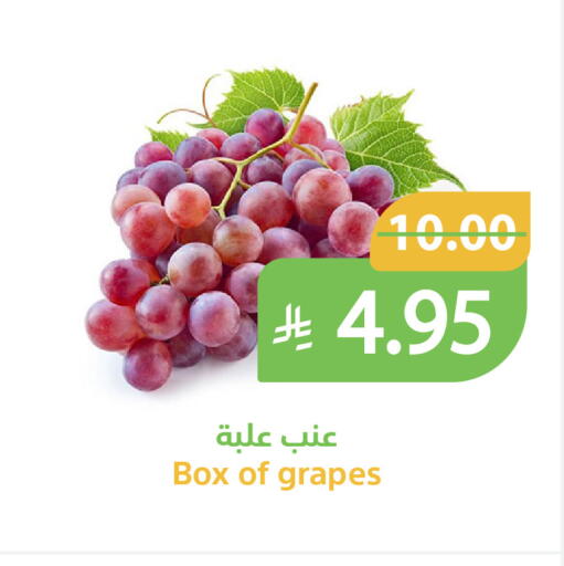 Grapes available at Qateba Markets in KSA, Saudi Arabia, Saudi - Buraidah