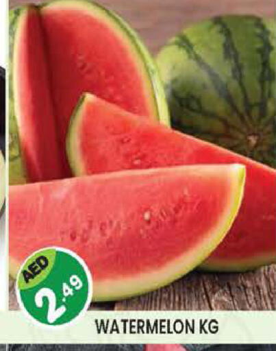 Watermelon available at سنابل بني ياس in الإمارات العربية المتحدة , الامارات - أبو ظبي