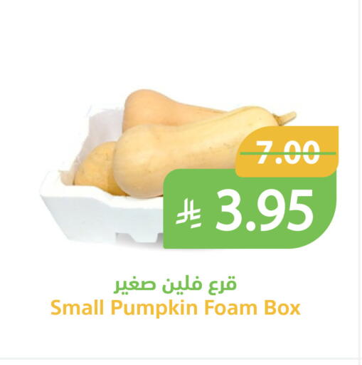 Pumpkin available at Qateba Markets in KSA, Saudi Arabia, Saudi - Buraidah