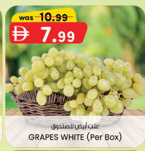 Grapes available at الصفا in الإمارات العربية المتحدة , الامارات - ٱلْعَيْن‎