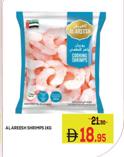 available at كيرالا هايبرماركت in الإمارات العربية المتحدة , الامارات - رَأْس ٱلْخَيْمَة