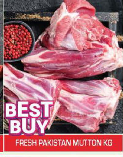 available at سنابل بني ياس in الإمارات العربية المتحدة , الامارات - أبو ظبي