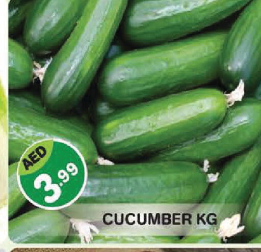 Cucumber available at سنابل بني ياس in الإمارات العربية المتحدة , الامارات - أبو ظبي