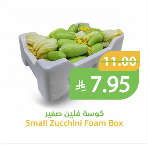 Zucchini available at Qateba Markets in KSA, Saudi Arabia, Saudi - Buraidah