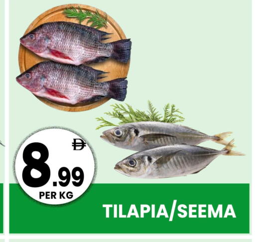 available at Centro Discount Center in UAE - Sharjah / Ajman