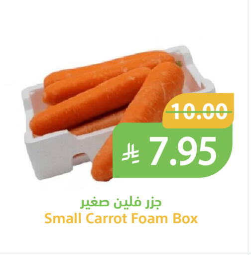 Carrot available at Qateba Markets in KSA, Saudi Arabia, Saudi - Buraidah