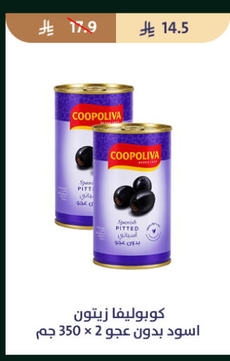 available at متاجر قوت in مملكة العربية السعودية, السعودية, سعودية - الطائف