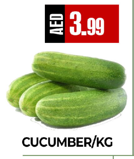 Cucumber available at  RIVIERA SUPERMARKET L.L.C in UAE - Abu Dhabi