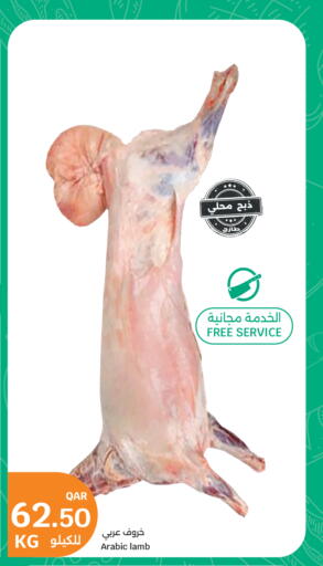available at سيتي هايبرماركت in قطر - الدوحة