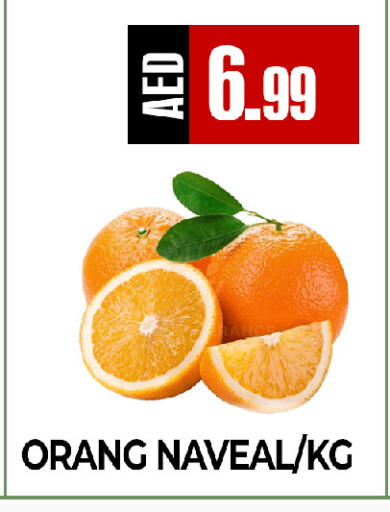 available at ريفييرا سوبرماركت in الإمارات العربية المتحدة , الامارات - أبو ظبي