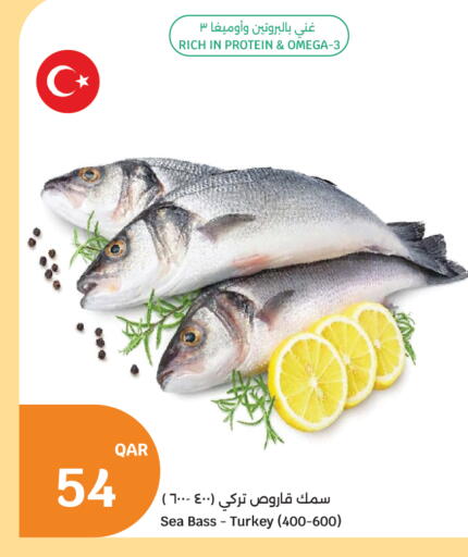 available at City Hypermarket in Qatar - Umm Salal