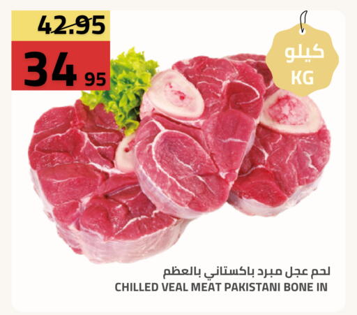 available at أسواق أسترا in مملكة العربية السعودية, السعودية, سعودية - تبوك