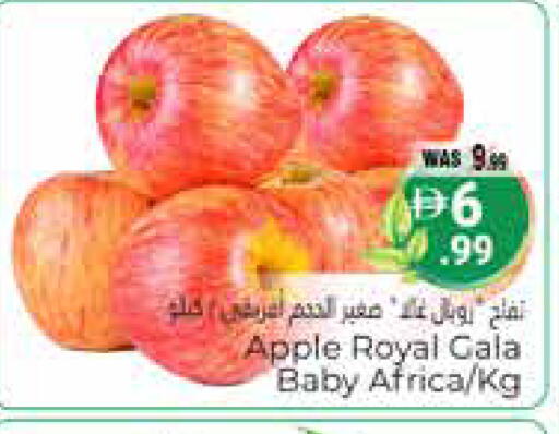 Apple available at هايبر ماركت باسونز in الإمارات العربية المتحدة , الامارات - ٱلْعَيْن‎