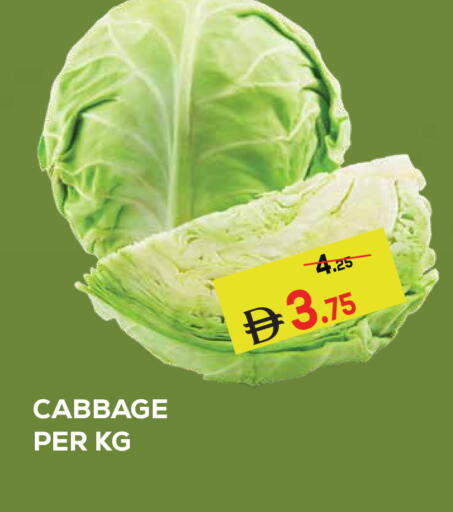 Cabbage available at كيرالا هايبرماركت in الإمارات العربية المتحدة , الامارات - رَأْس ٱلْخَيْمَة