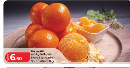 Mandarin from South Africa available at لولو هايبرماركت in قطر - الدوحة