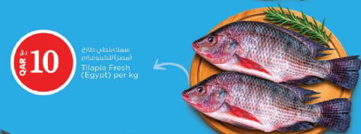 available at Nesto in Qatar - Al Shamal