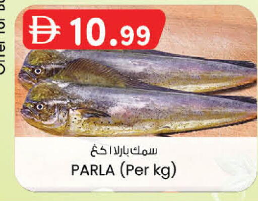 available at الصفا in الإمارات العربية المتحدة , الامارات - ٱلْعَيْن‎