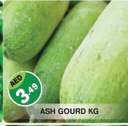 available at سنابل بني ياس in الإمارات العربية المتحدة , الامارات - أبو ظبي