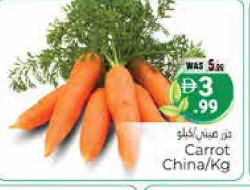 Carrot from China available at هايبر ماركت باسونز in الإمارات العربية المتحدة , الامارات - ٱلْعَيْن‎